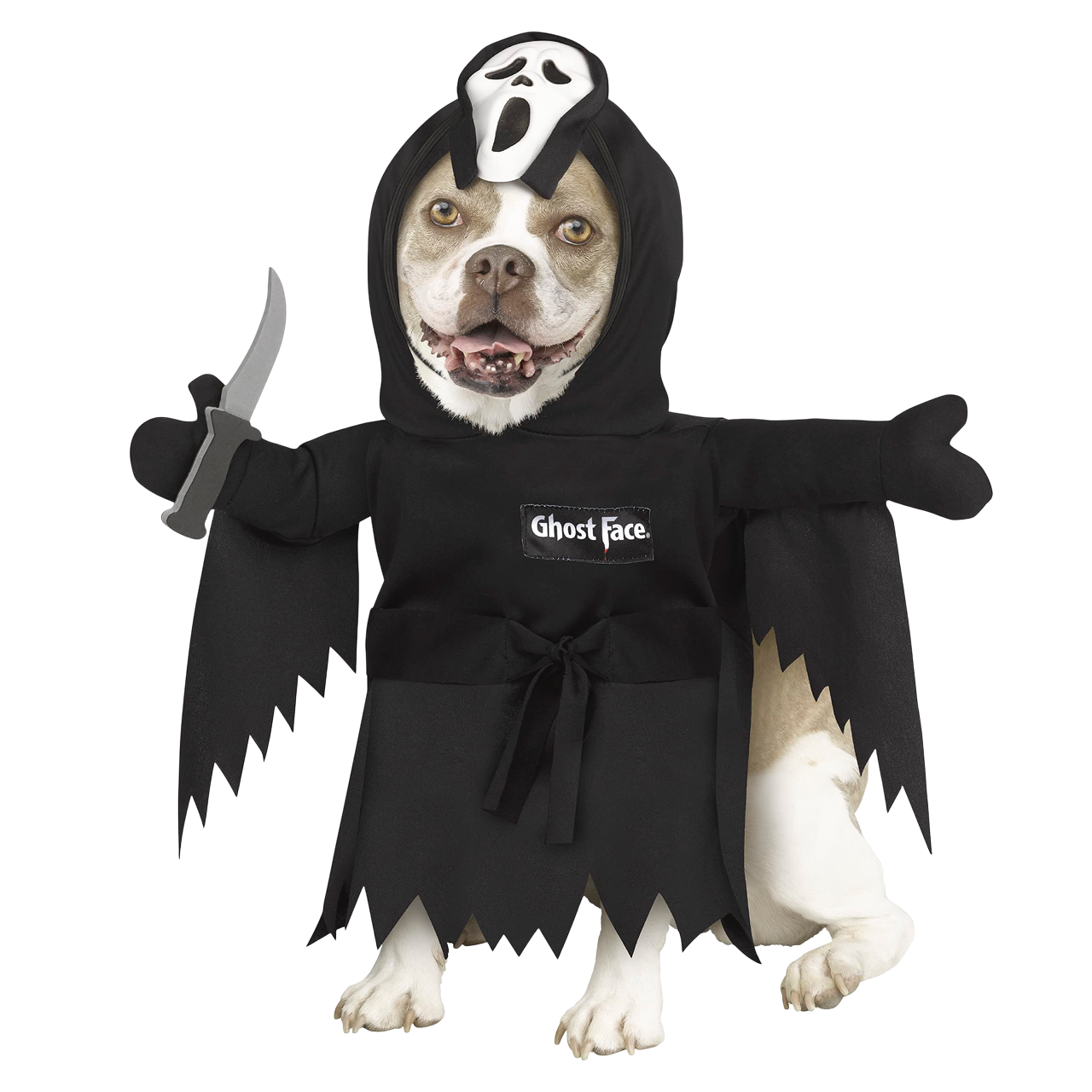 AA Ghost Face Pet Costume