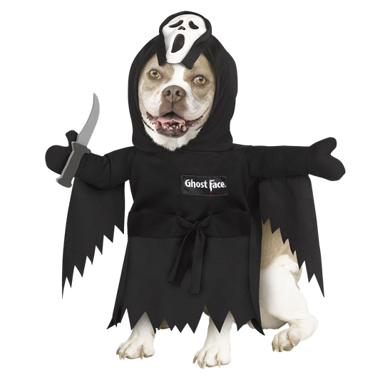 AA Ghost Face Pet Costume